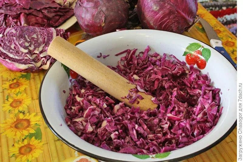 Квашеная краснокочанная капуста рецепт