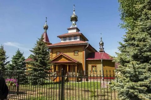 Анонимка тонкино нижегородская