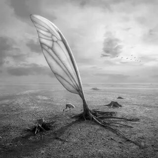 i?id=8599fae5045dda425f6b9dd9a398dea6-52