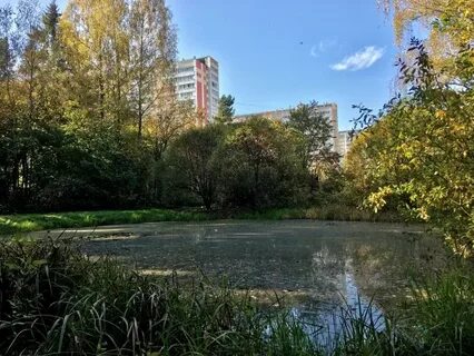 Сад 4 москва