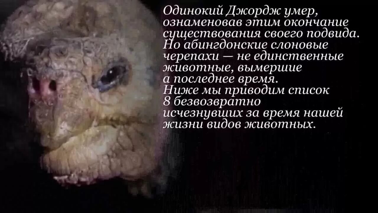 Умершие виды животных
