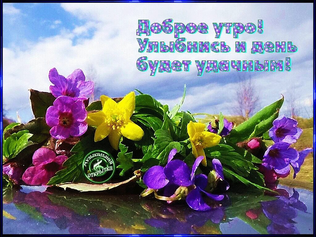 Красивая картинка доброе утро леночка. С добрым утром лена. пожелания с добрым утром леночке. доброе утро елена прекрасная. открытки с добрым утром леночка.