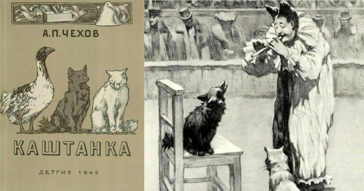 А п чехов каштанка кратчайшее содержание. Иллюстрации а.п чехова каштанка. произведение антона павловича чехова каштанка.