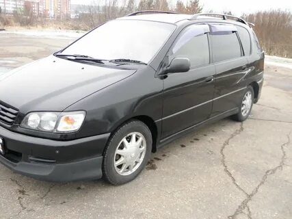 Ипсум 1997 года