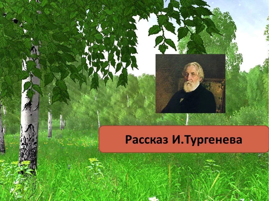 Отношение христианина к природе. Христианское отношение к природе. Отношение христианина к природе картинки. Отношение хрисьианина к пррод.