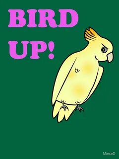 Bird up