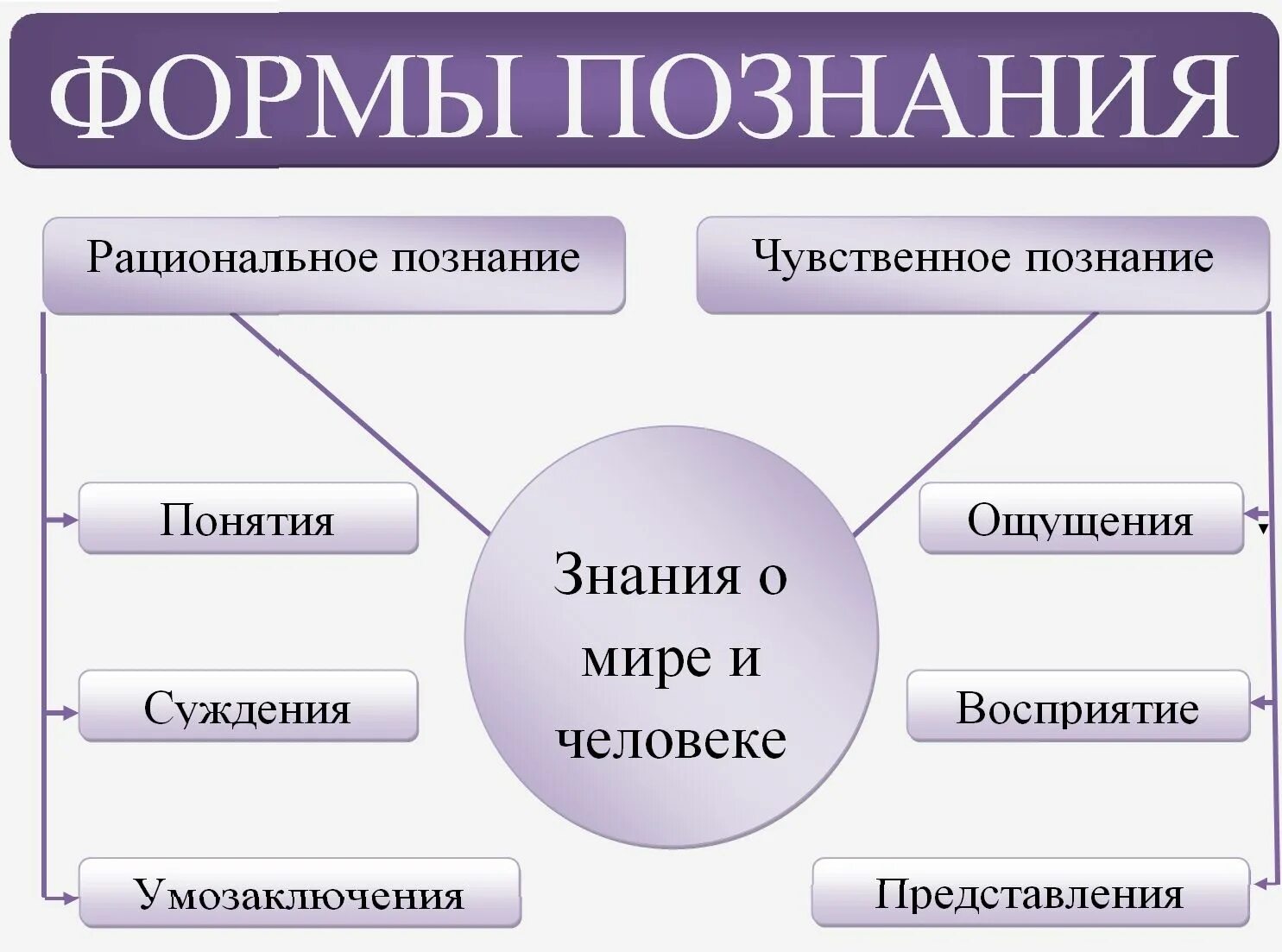 Наглядность рациональное познание. Формы познания. Основные формы познания. Перечислите формы познания.