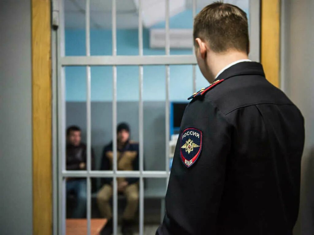 Поиск краж