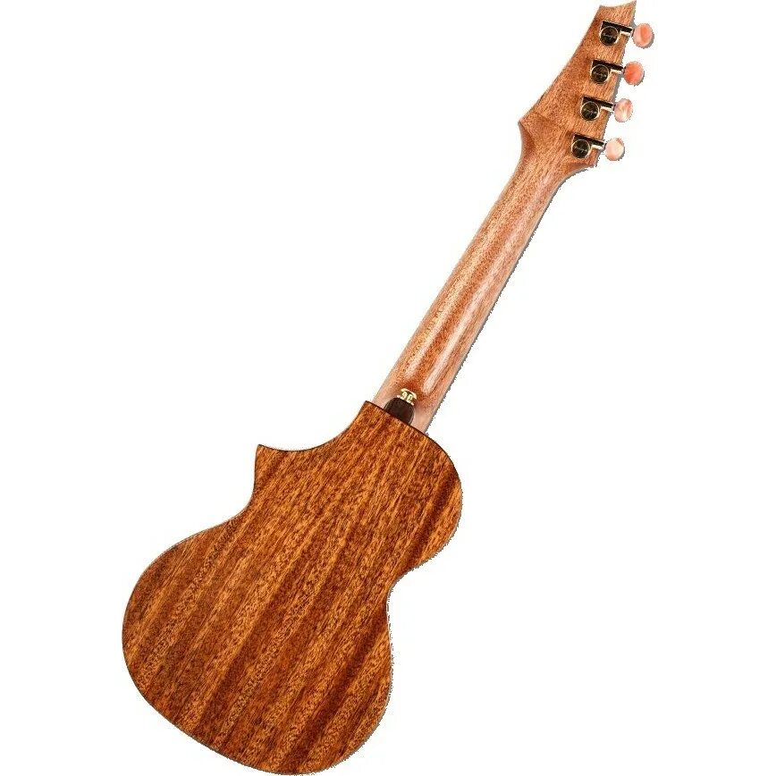 Гитара enya купить. Акустическая гитара Enya. Enya EUC-25d. Акустическая гитара Enya 3/4. Акустические струны Enya.