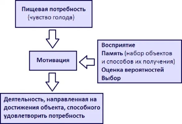 Потребность в ощущениях цукерман