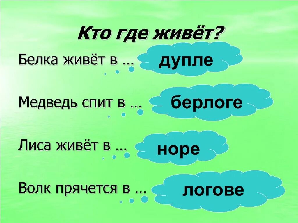 Кто где живет. Кто где живет в логове. Кто где живет белка.