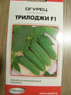 Огурец трилоджи f1 отзывы