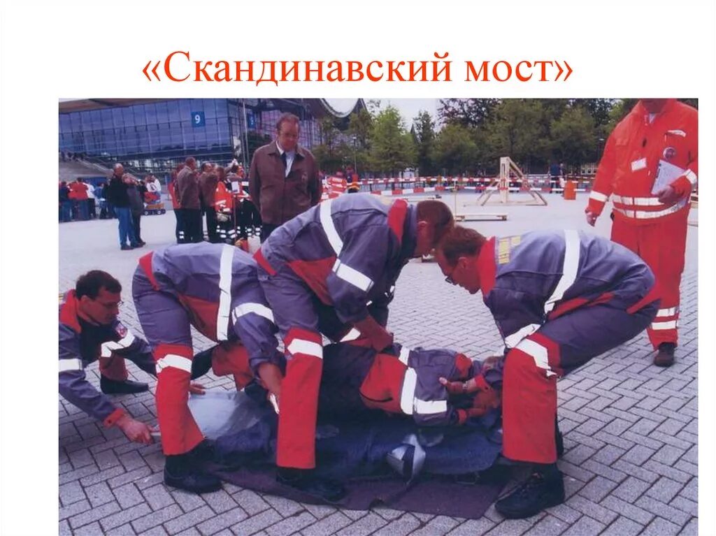 Нидерландский мост транспортировка пострадавшего фото В каком числе пострадавших: найдено 81 изображений