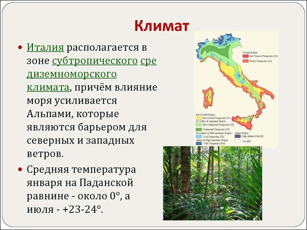 Температура в январе в субтропическом поясе. Климат Италии. Субтропический Средиземноморский климат. Субтропический пояс Средиземноморский климат. Климат севера Италии.