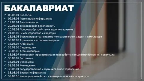 Избирательная кампания 2023