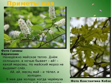 12 мая приметы