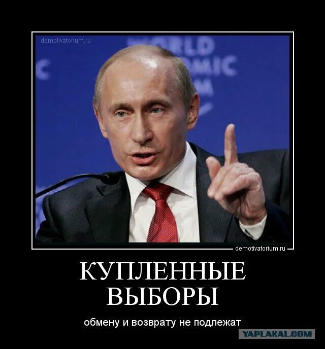 смешной выбор. статус про выборы. выборы прикол. честные выборы карикатура. не пойду на выборы.