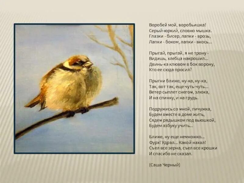 что ты тискаешь утенка саша черный. саша чёрный биография. чёрный саша "стихи для детей". что объединяет произведения саши черного. стихотворение саши черного.