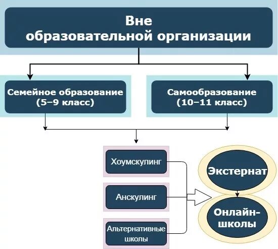 Самообразование и семейное обучение. Формы получения образования. Семейная форма образования. Обучение в форме семейного образования и самообразования.. Организация по образованию семьи