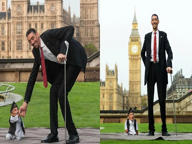 Сами высоки человек. Рост Султана Косена. Султан кёсен рост вес. Самый высокий человек в мире рост. Самый большой человек в мире рост и вес.