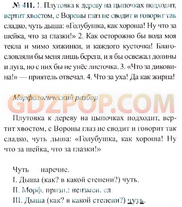 С вороны глаз не сводит. Плутовка к дереву на цыпочках гдз. Плутовка к дереву на цыпочках подходит вертит хвостом с вороны 7 класс. Русский язык 7 класс ладыженская 411. Русский язык 7 класс номер 411.