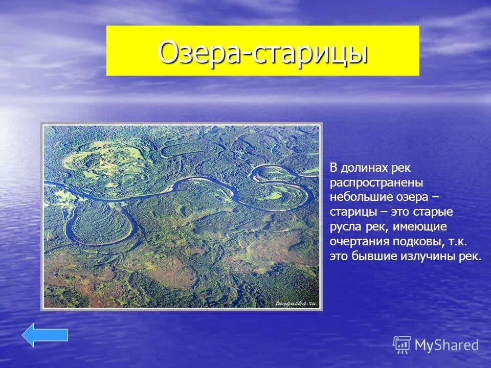 озера старицы это