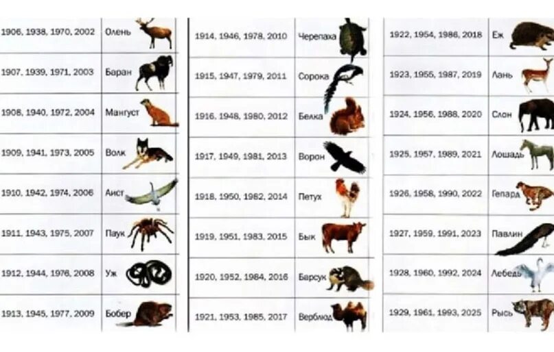 Гороскоп животное по дате. Тотемное животное 27.10.1996. 1989 Тотемное животное. Тотемное животное 10.04.2003. Тотемное животное 1998 года.