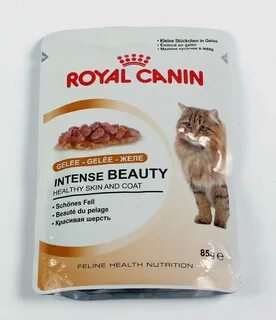 Лучший влажный кошачий корм