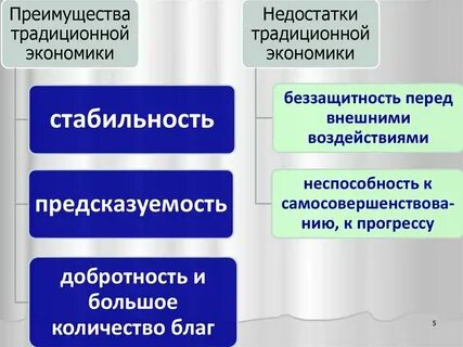 Достоинства и недостатки традиционной экономической