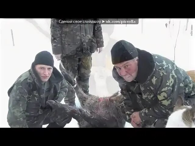 Охота песня клип. Охота песня клип. Песня про охотников. Текст клипа охота на лису. Охота песня клип.