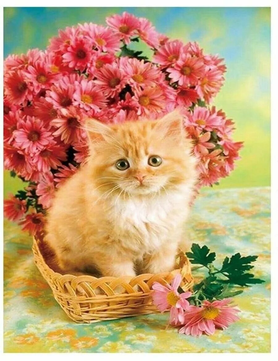 рыжий котенок в цветах. рыжий котик с цветами. рыжий котенок в цветах. кот в подсолнухах. рыжий котёнок.