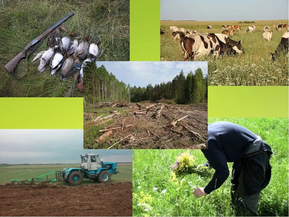 Хозяйственная деятельность человека. Хозяйственная деятельность человека в природе. Хозяйственная деятельность экология. Хозяйственная деятельность народов.