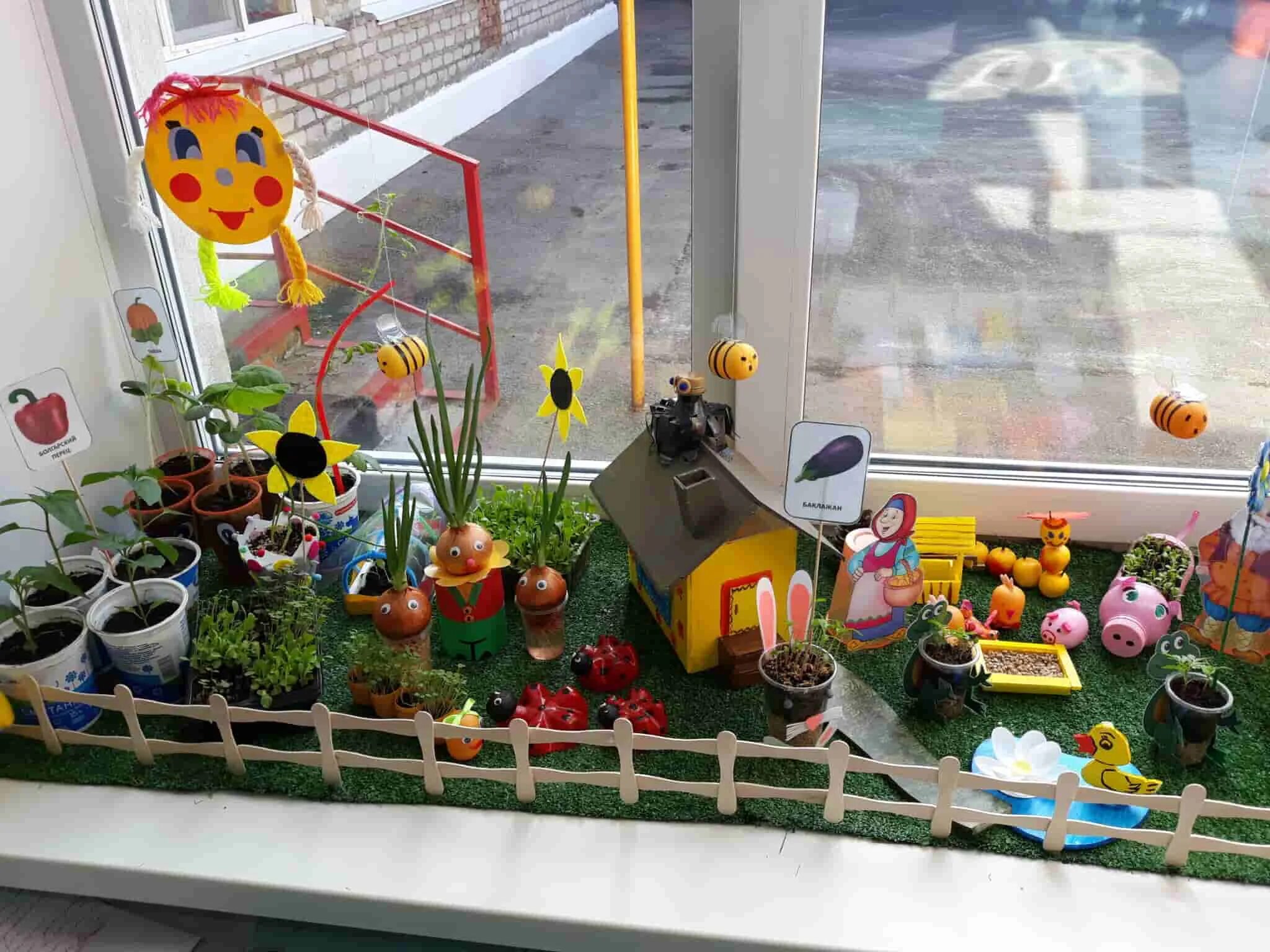 Огород на окне в подготовительной группе оформление. Огород на окне. Мини огород в детском саду на окне. Необычный огород на окне в детском саду. Огород на окне старшая группа.
