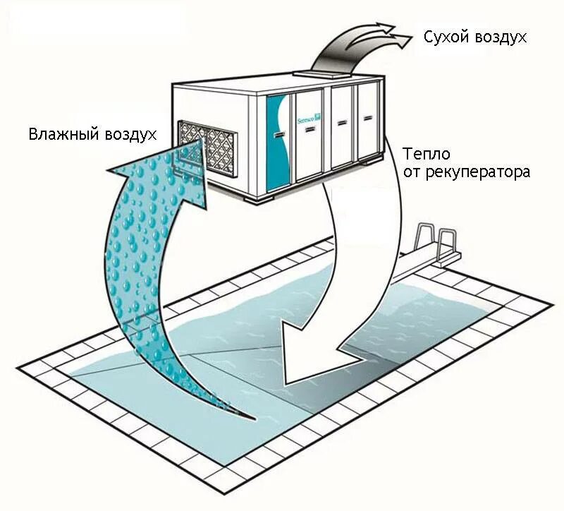Осушитель воздуха на схеме вентиляции. Осушитель воздуха для бассейна схема подключения. Осушитель для бассейна принцип работы. Осушитель для бассейна канальный схема. Охлаждение осушение всасывание в клетки очищение
