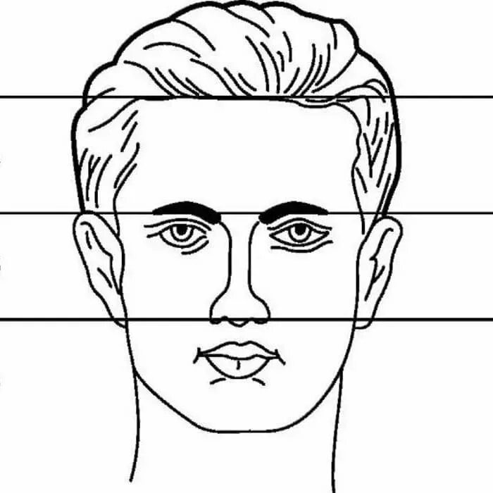 Лицо часть головы человека. Части человеческого лица. Симметричный портрет. Портрет человека. Лицо человека рисунок.