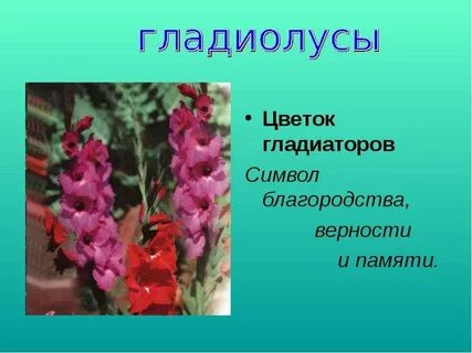 Цветочный язык