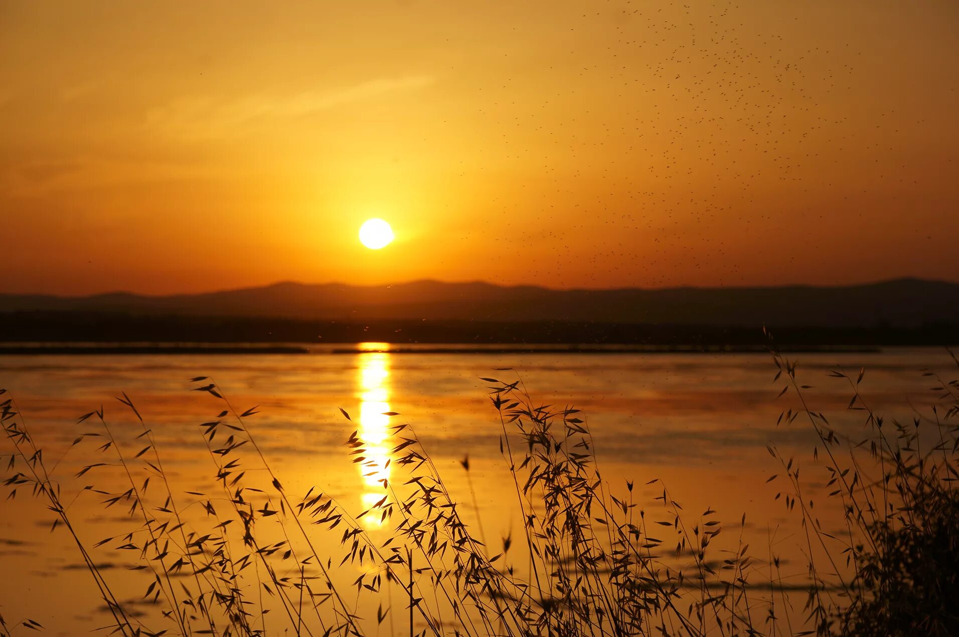 закат на озере. лето вечер. закат солнца на прозрачном фоне. красивый закат солнца. рассвет солнца.