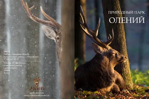 Олений парк ростовская область