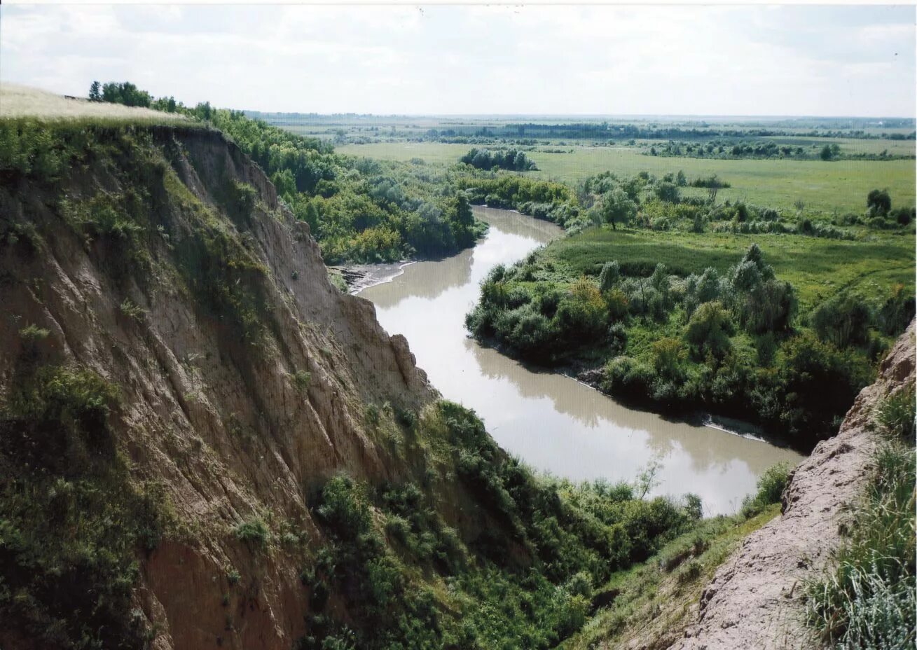 Алей алтайский край