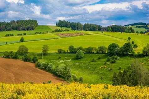 Простор пор