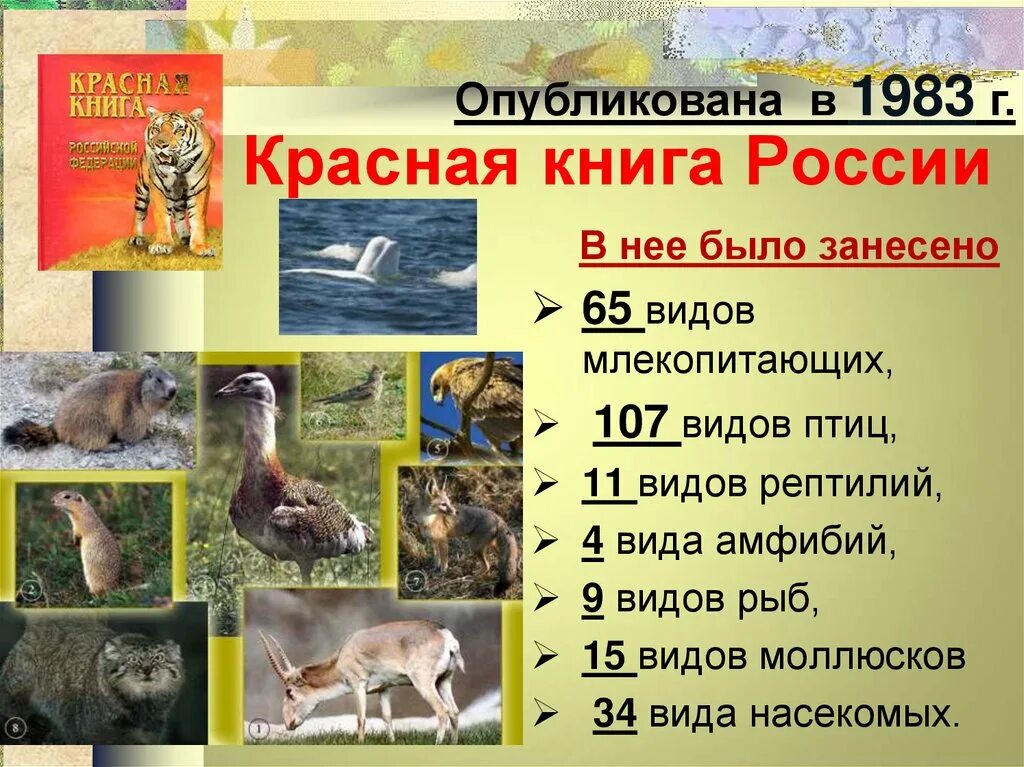 Города занесены в красную книгу. Животные занесенные в красную книгу. красная книга россии. животные. животные и растения красной книги россии. звери занесенные в красную книгу россии.