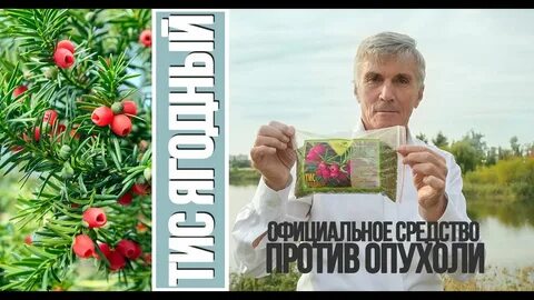 Гарбузов сайт