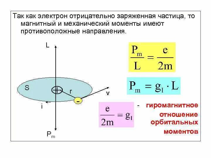 Модуль магнитного момента электрона. Модуль магнитного момента электрона
