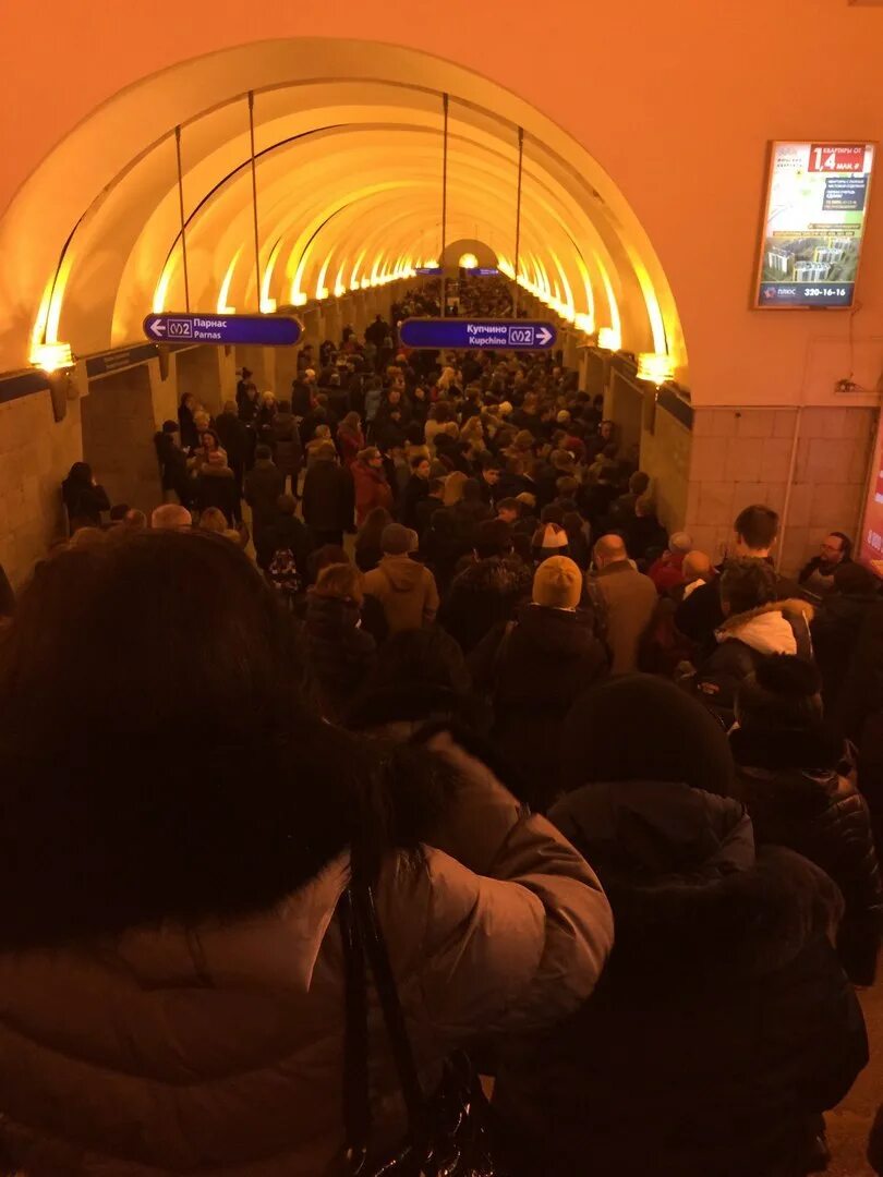 Давка в метро спб сегодня. Час пик в метро спб. синяя ветка метро питер. давка в метро спб. толпа в метро спб.