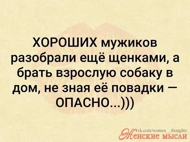 Мужиков щенками разбирают. Хороших мужчин разбирают ещё щенками. Лучше перебрать. Хороших мужиков разбирают. Лучше перебрать.
