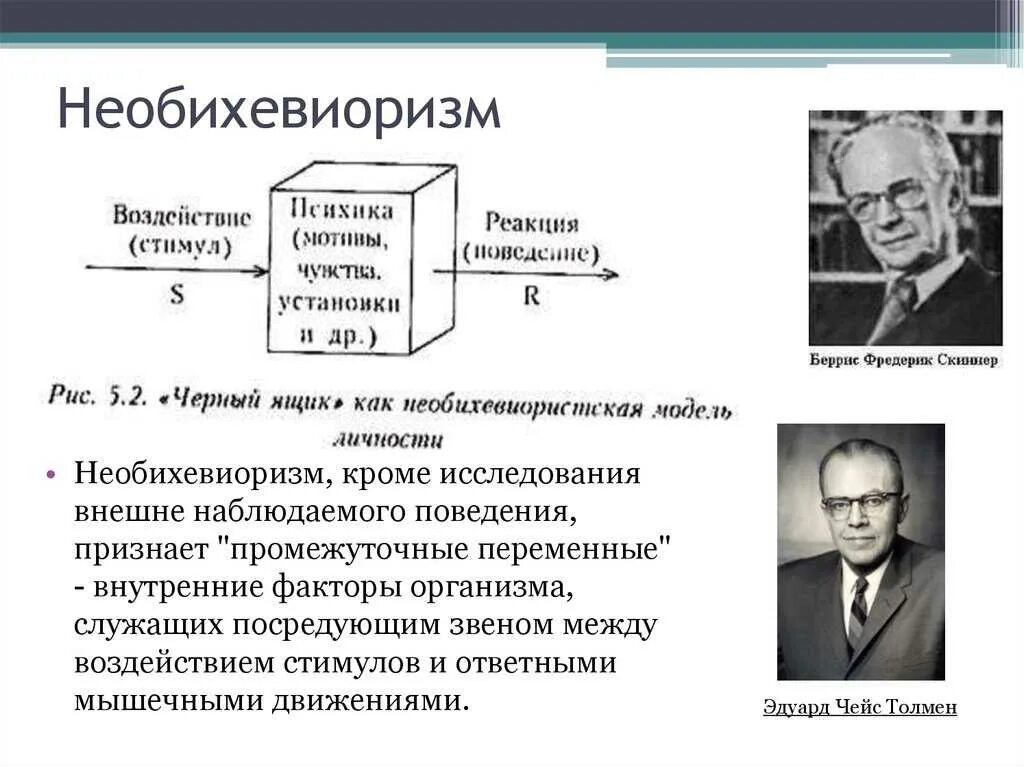 Между стимулом и реакцией. Бихевиоризм стимул реакция схема. Э Толмен необихевиоризм. Скиннер необихевиоризм. Бихевиоризм Уотсон Скиннер.