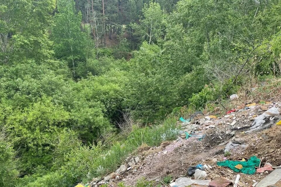 республиканский ландшафтный заказник мозырские овраги. каменный овраг пензенская область. с сосновый овраг. сосновый лес в ростове на дону. карьерский овраг казань.
