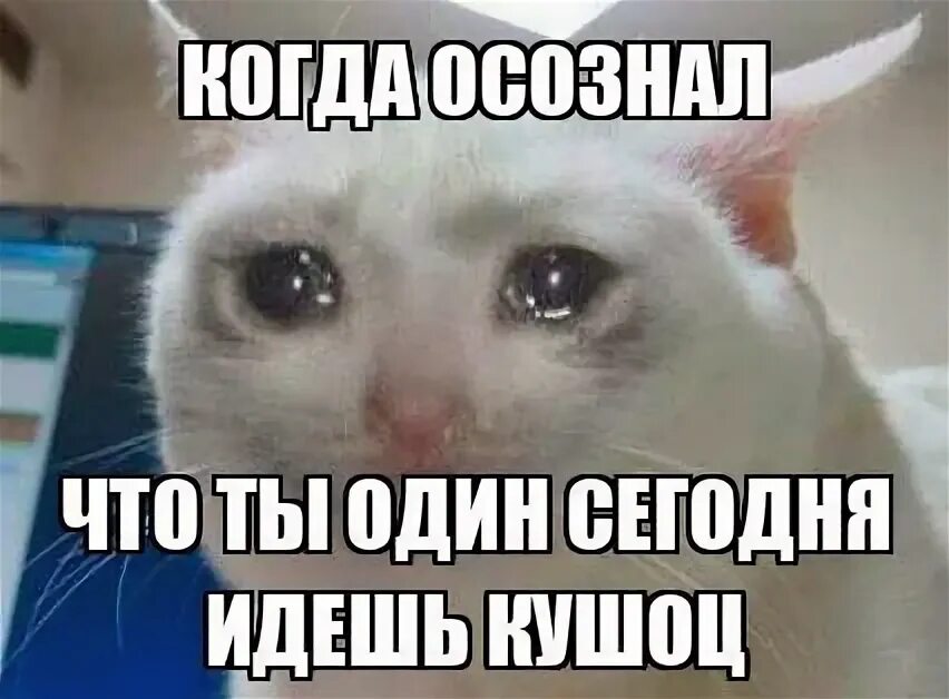 Подружка бросать