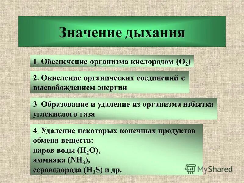 Каково иметь. Значение процесса дыхания. Значение дыхательной системы. Значение дыхания для организма человека. Значение системы органов дыхания.