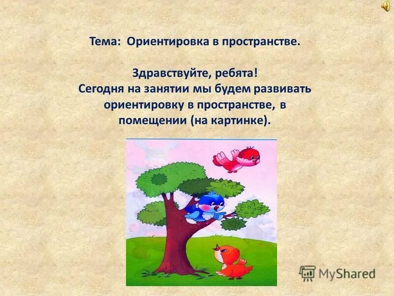 Ориентация в теме. Ориентация в теме